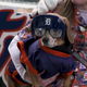 Illustration for article titled These Poor Dogs Had To Watch 11 Innings Of Tigers-Marlins Baseball On A Chilly Tuesday Night